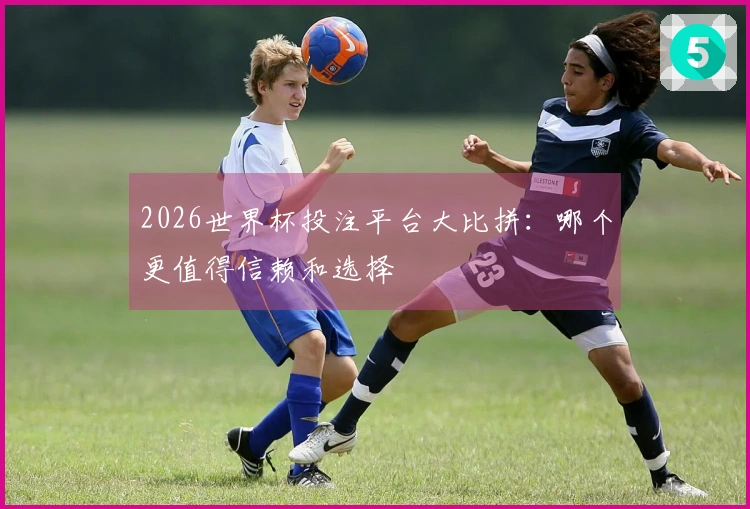 2026世界杯投注平台大比拼：哪个更值得信赖和选择