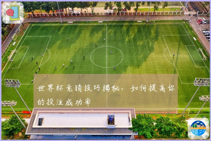 世界杯竞猜技巧揭秘，如何提高你的投注成功率