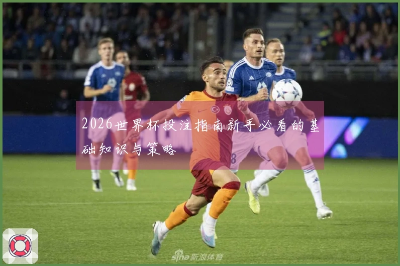 2026世界杯投注指南新手必看的基础知识与策略