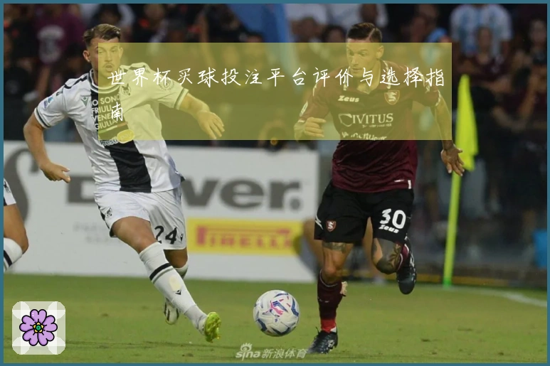 世界杯买球投注平台评价与选择指南