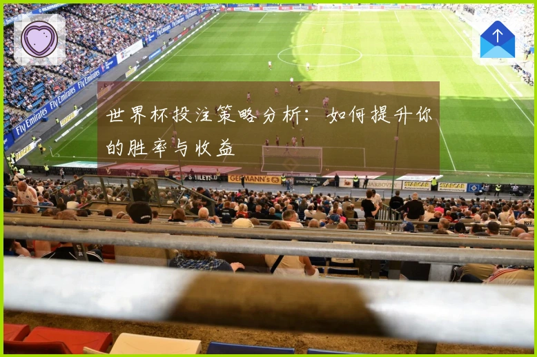 世界杯投注策略分析：如何提升你的胜率与收益