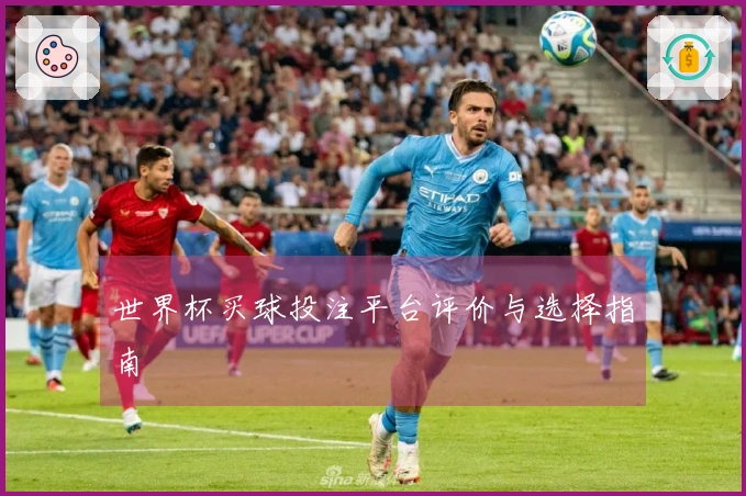 世界杯买球投注平台评价与选择指南