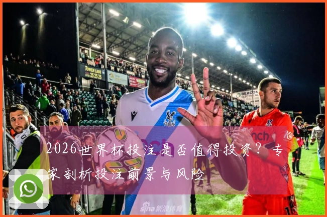 2026世界杯投注是否值得投资？专家剖析投注前景与风险