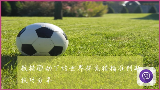 数据驱动下的世界杯竞猜精准判断技巧分享