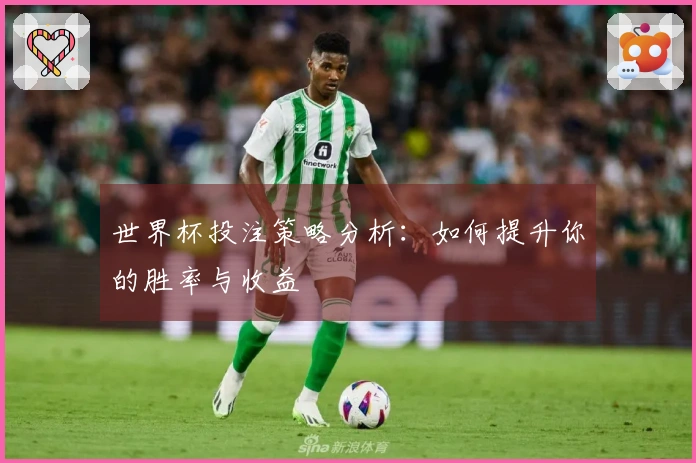 世界杯投注策略分析：如何提升你的胜率与收益