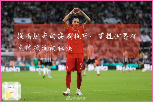 提高胜率的实战技巧，掌握世界杯竞猜投注的秘诀