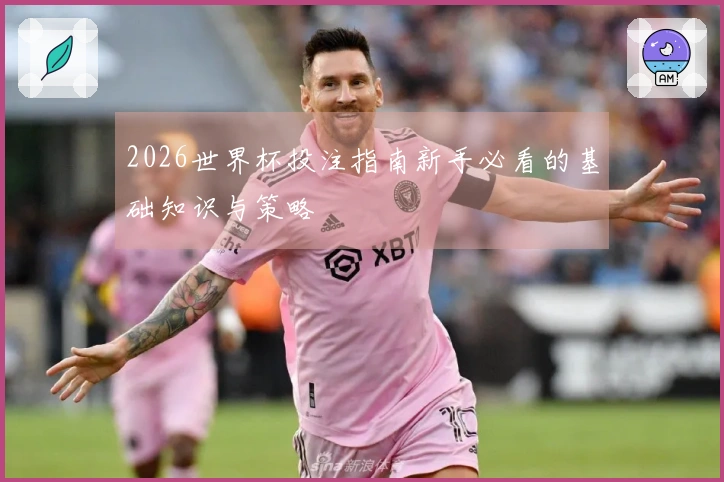 2026世界杯投注指南新手必看的基础知识与策略