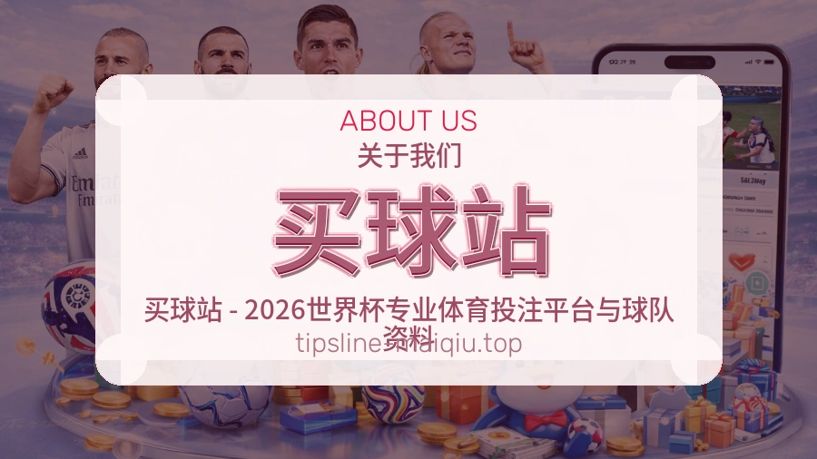关于 买球站 团队与服务